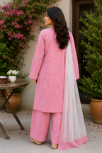 A woman wearing a pink embroidered kurta and matching palazzo pants with a white inner lining, standing outdoors in front of green bushes and a wooden fence.